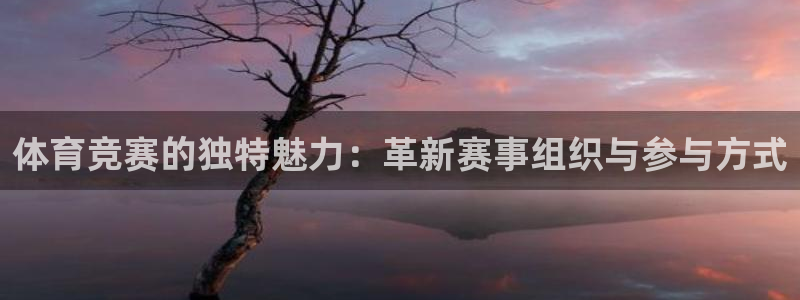 体育竞赛的独特魅力：革新赛事组织与参与方