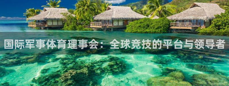 88看球app官网版