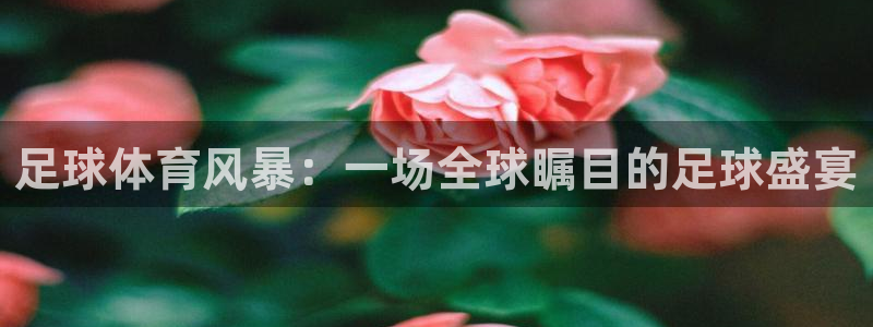 88体育在线看球免费观看：足球体育风暴：