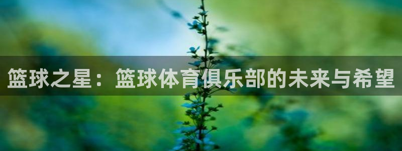 88体育平台怎么样：篮球之星：篮球体育俱